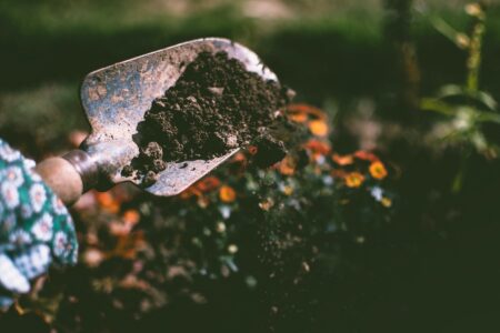 How to Build Fertile Soil Image